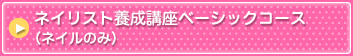�l�C���X�g�{���u���x�[�V�b�N�R�[�X�i�l�C���̂݁j