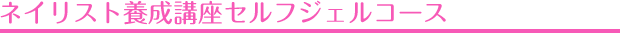 ネイリスト養成講座セルフジェルコース