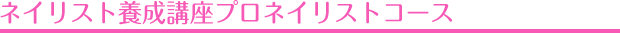 ネイリスト養成講座プロネイリストコース